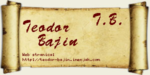 Teodor Bajin vizit kartica